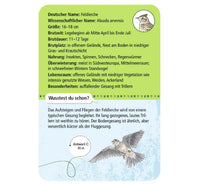 Karten-Set "50 Heimische Vögel / Expedition Natur"