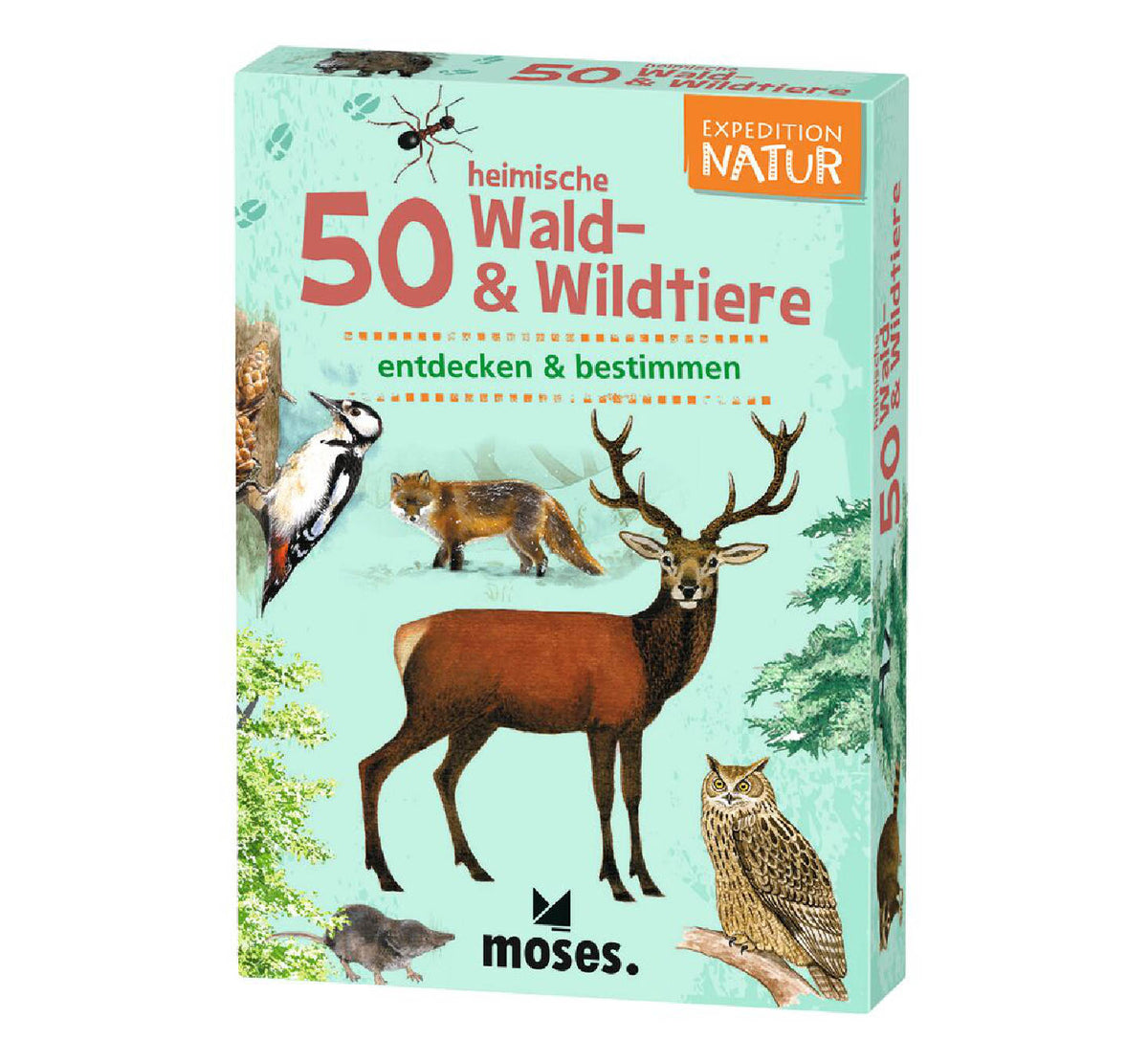 Karten-Set "50 Heimische Wald- & Wildtiere / Expedition Natur"
