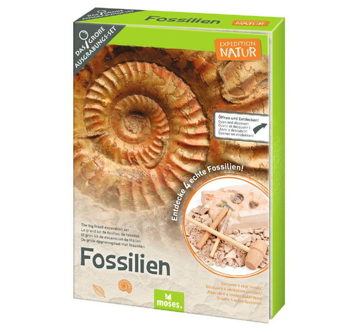 Großes Fossilien-Ausgrabungs-Set "Expedition Natur"