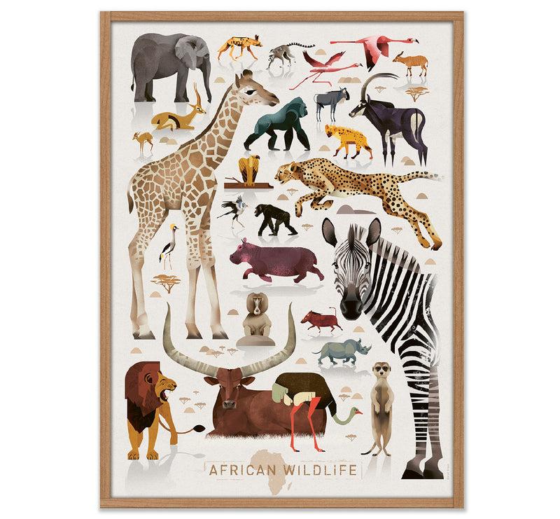 Poster "African Wildlife" 50x70cm