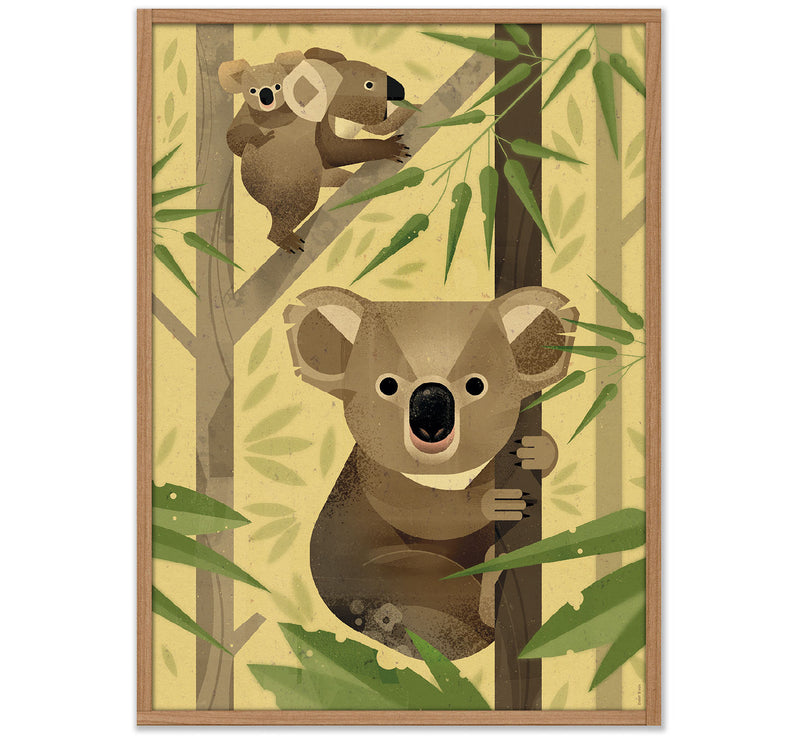 Poster "Koala" 50x70cm