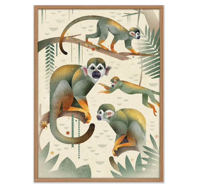 Poster "Squirrel Monkeys" 50x70cm