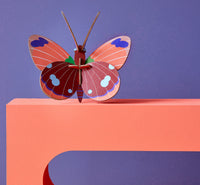 Wanddekoration "Small Insects - Delias Butterfly"