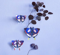 Wanddekoration "Big Insects - Swallowtail Butterflies" 3er-Set